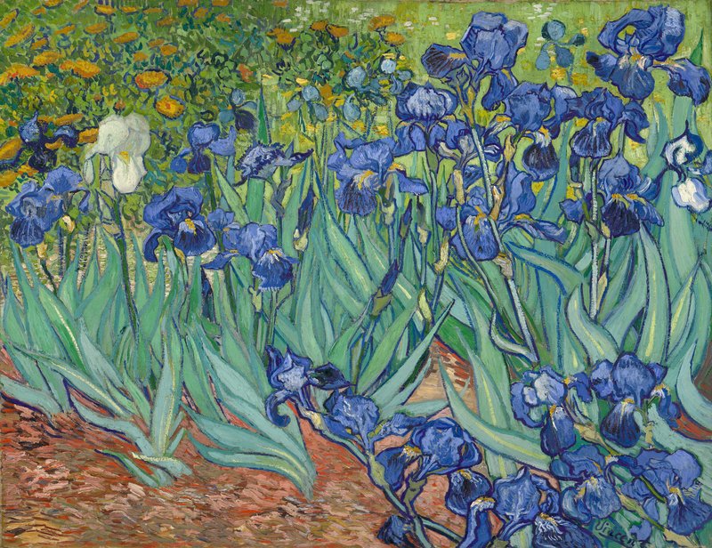 Vincent van Gogh - Irises 1889